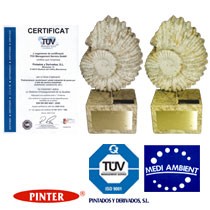 pinter pintados y derivados certificaciones